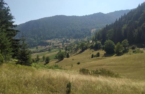 Tara National Park Casa | Vikendica Studenac