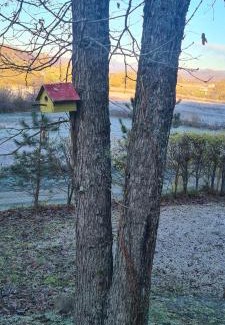 Republika Srpska Casa | Vikendica Volar