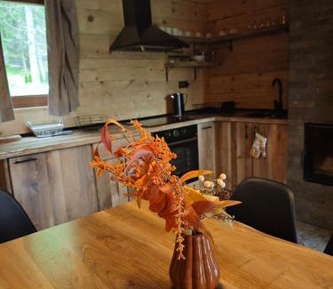 Mitrovac Apartamento | Vikendice Dream