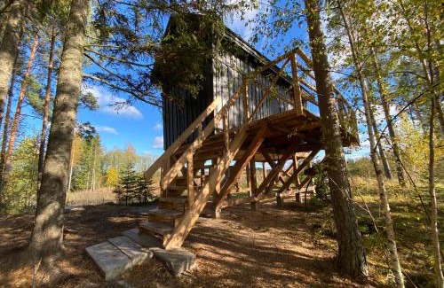 Pedvale Casa | Viking house in the tree! Jacuzzi, Sauna,apkure!