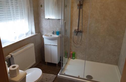 Pirmasens Apartamento | Viktor