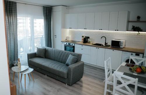 Floresti Apartamento | Viktor's place