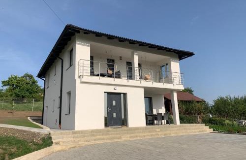 Dealu Casa | Viktoria House