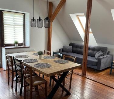 Svoboda nad Upou Apartamento | Vila Aja