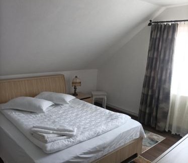 Baile Olanesti Casa | Vila Alpina Olănești
