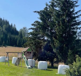 Sarisor Casa | Vila Ancuța