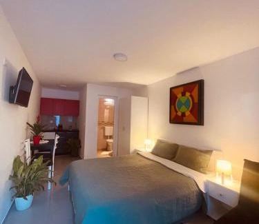 Veliko Gradiste Apartamento | Vila Biser