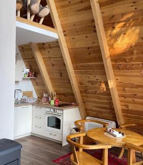 Zabljak Villa | Vila Caričić Žabljak