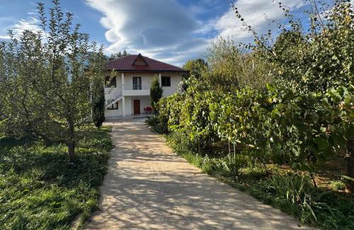 Kukes County Villa | Vila Curri