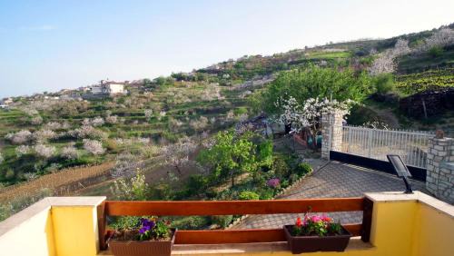 Berat Apartamento | Vila Dean