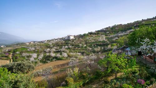 Berat Apartamento | Vila Dean