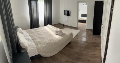 Viseu de Jos Casa | Vila din Grădină