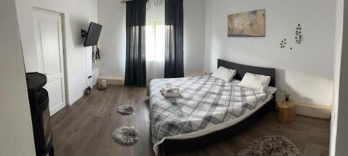 Viseu de Jos Casa | Vila din Grădină