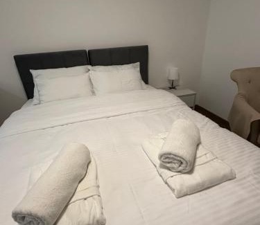 Banja Koviljaca Apartamento | Vila Drina Apartments
