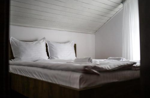 Cioplea Casa | Vila Edelweiss
