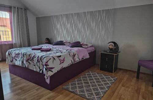 Brasov Casa | Vila Ekooos