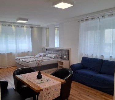 Bezigrad District Apartamento | Vila Ema Apartments and Rooms