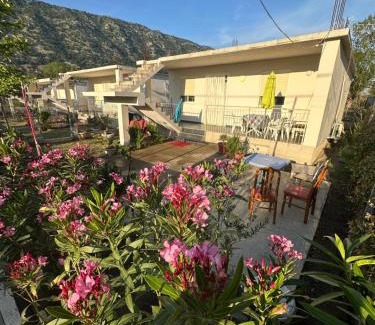 Velipoje Villa | Vila Eriona