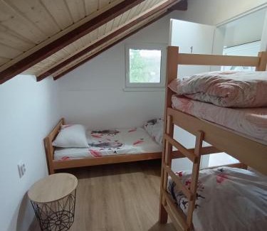 Novi Sad Villa | Vila Jana