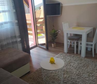 Bajina Basta Apartamento | Vila Jezero
