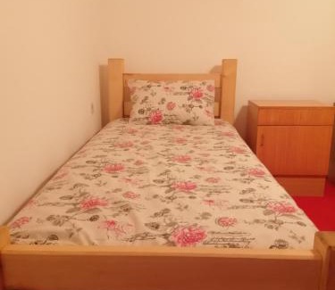 Stara Planina Apartamento | Vila Jova
