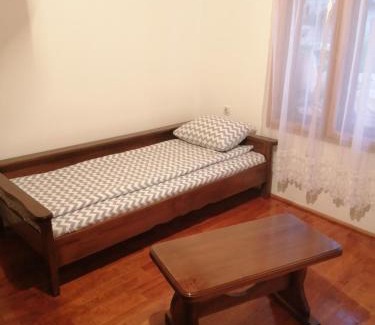 Stara Planina Apartamento | Vila Jova