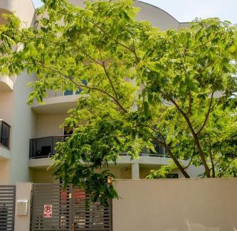 Eforie Nord Hotel | Vila Kalliopi