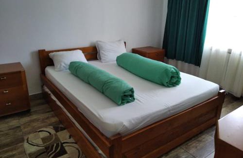 Budureasa Cabina | Vila Liliacul