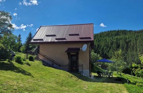 Zlatibor Casa | Vila Mica - STD Bojovići Zlatar