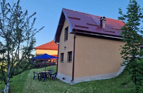 Zlatibor Casa | Vila Mica - STD Bojovići Zlatar