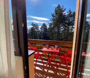 Kremna Apartamento | Vila Mirjana Tara