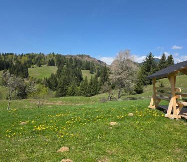 Bistrita Bargaului Villa | Vila Muntelui Colibita