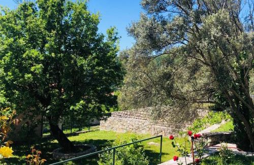 Lapcici Hotel | Vila Oaza Markovici