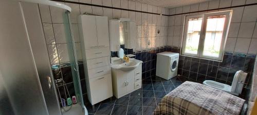 Donji Milanovac Casa | Vila Ondina