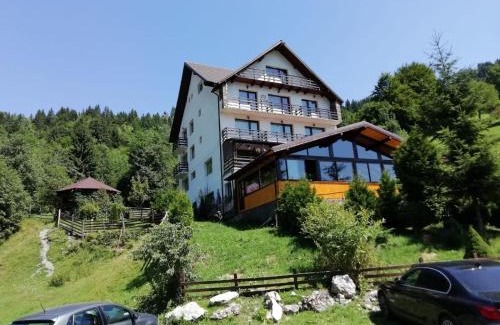 Moeciu de Sus Cabina | Vila Rina