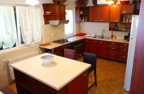 Moieciu Villa | Vila Sohodol Travel