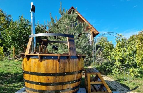Petrovaradin Casa | Vila Stancevic wellness
