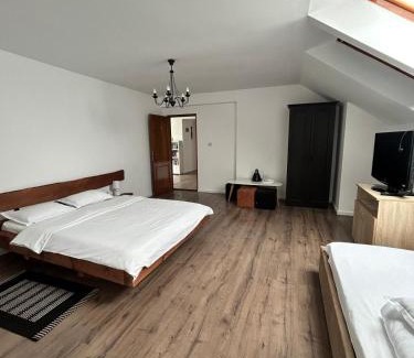 Toplita Casa | Vila TeoNa