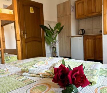 Bregvija Apartamento | Vila Vrba