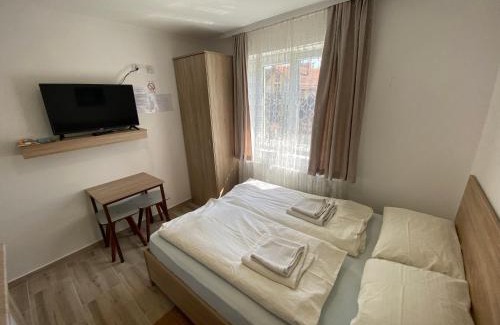 Prolomska Banja Apartamento | Vila Zdravković Prolom Banja