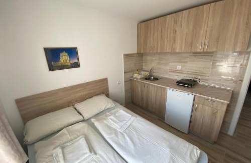 Prolomska Banja Apartamento | Vila Zdravković Prolom Banja