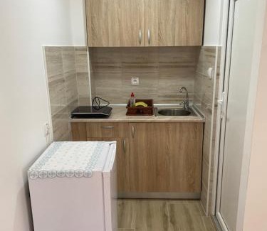 Prolomska Banja Apartamento | Vila Zdravković Prolom Banja