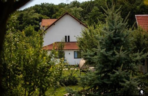 Alba Iulia Casa | VilaFrancisca10