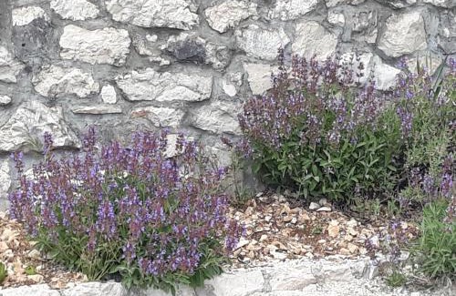 Bristivica Casa | Villa Žuža
