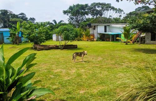 Kribi Villa | Villa 1200m2 de jardin "100m plage"