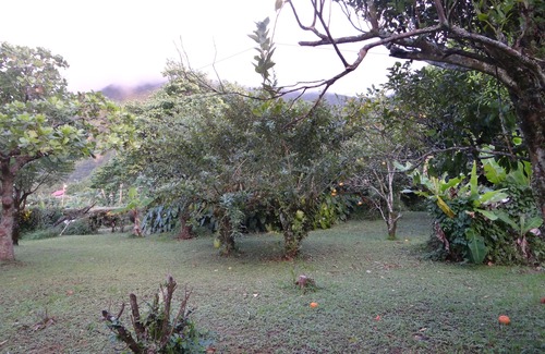 Le Morne-Vert Casa | Villa de 3 dormitorios en zona tranquila arbolada y florida - vistas al mar y al campo
