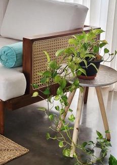 Jambugasmulla Casa | Villa 316 - Cozy Beach Vibe Family Home - 20 min to Colombo