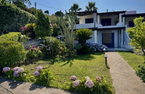 Monte Gallina Apartamento | Villa 'A Pisa