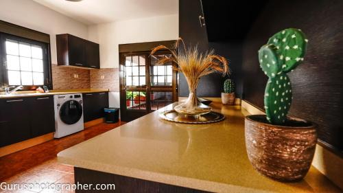 Llanos de la Concepción Casa | Villa Abuelita Ana