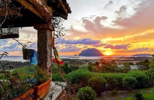 Porto San Paolo Cama Y Desayuno | Villa Acchiappasogni